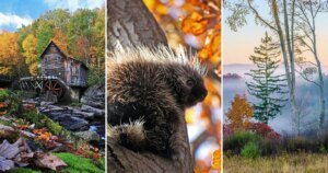 Wat ik na 20 jaar herfstkleurfotografie heb geleerd