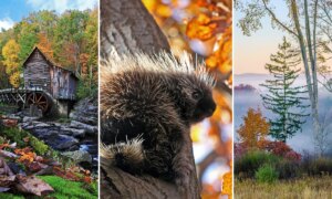 Wat ik na 20 jaar herfstkleurfotografie heb geleerd