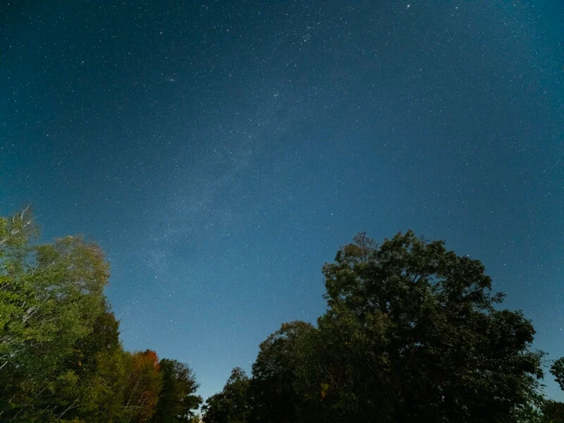 A night sky filled with stars and a faint band of the Milky Way stretches above the silhouettes of trees.
