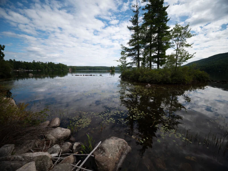 A small, tree-covered island sits in a calm lake under a cloudy blue sky, with rocky shores in the foreground.