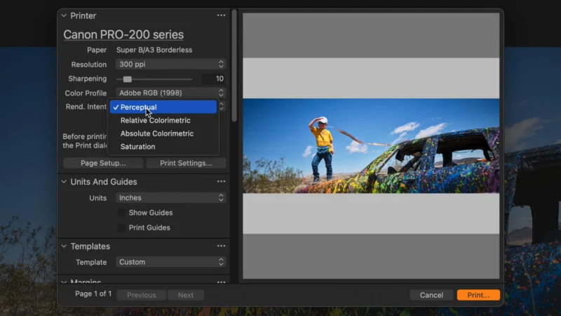 A print settings dialog box for a Canon PRO-200 series printer shows a dropdown menu with rendering intent options, with Perceptual currently selected.