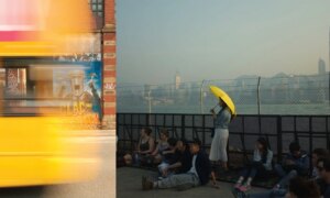 Geel als goud: Fotografen leggen wereldwijd gouden momenten vast