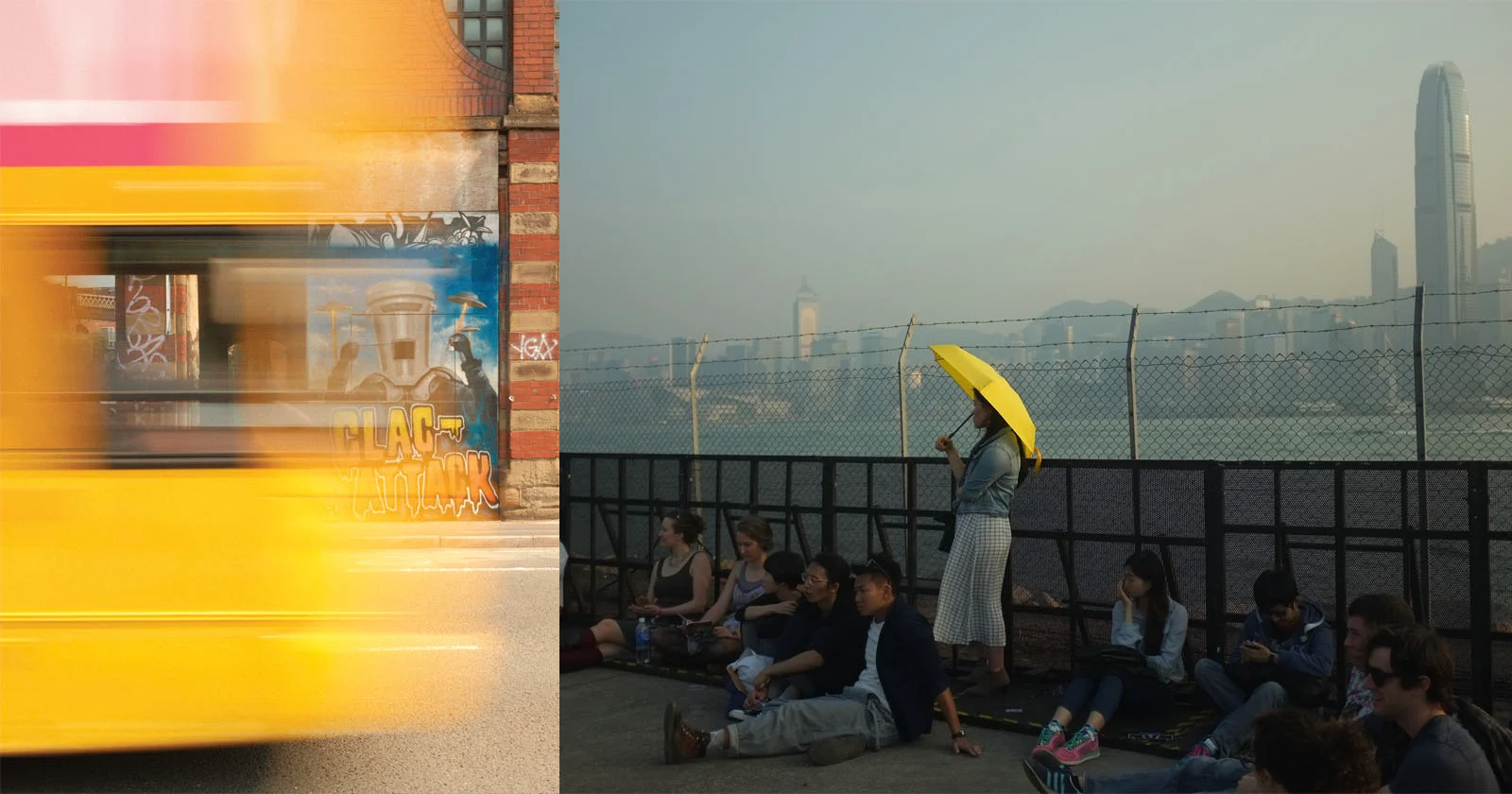 Geel als goud: Fotografen leggen wereldwijd gouden momenten vast