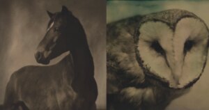 Tintype-fotograaf gebruikt mobiele donkere kamer om handgemaakte beelden van herinneringen en tijd te creëren