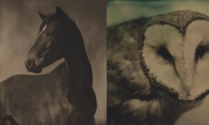 Tintype-fotograaf gebruikt mobiele donkere kamer om handgemaakte beelden van herinneringen en tijd te creëren
