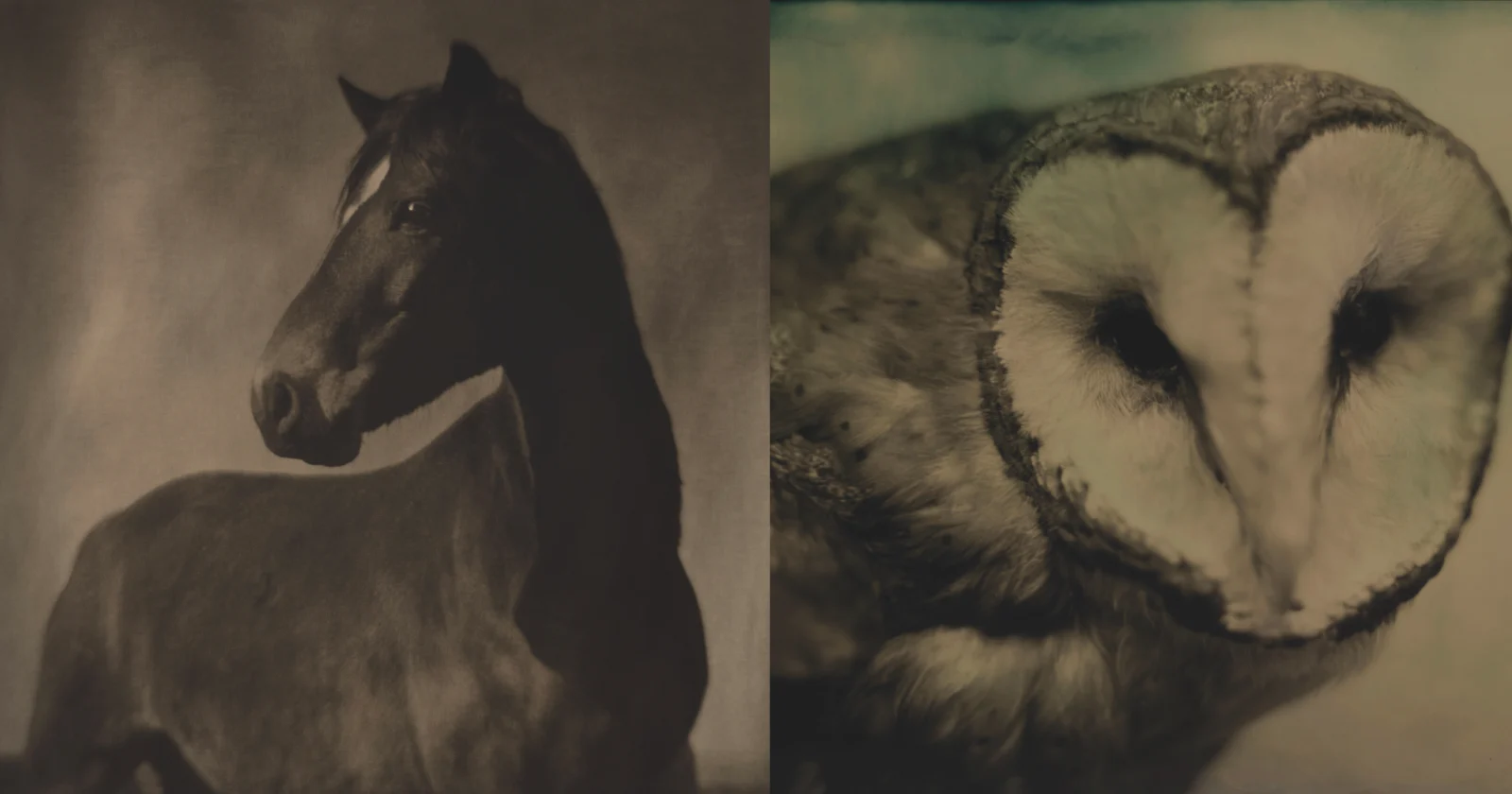 Tintype-fotograaf gebruikt mobiele donkere kamer om handgemaakte beelden van herinneringen en tijd te creëren
