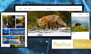 Zenfolio NextZen stroomlijnt de zakelijke kant van fotografie